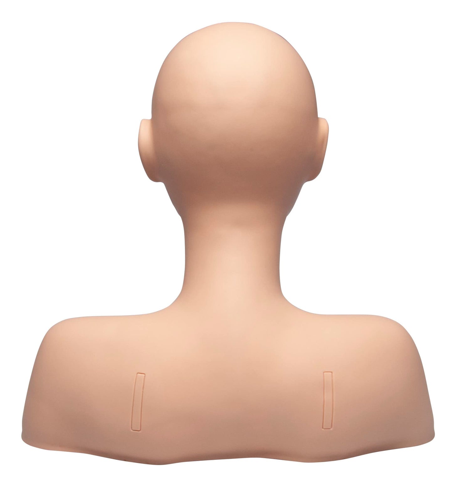 Diane Esthetics Mannequin Head with Shoulders for Massage, No Hair or Makeup, Physiology, and Training, Ideal for Professionals and Beauty School Students
